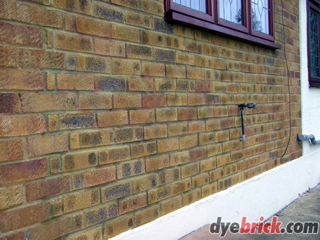 Brick Tinting complete 2